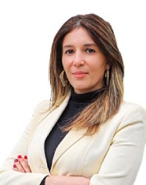 Derecho 2024