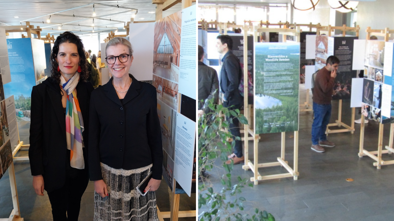 Embajada de Suecia y Arquitectura, Diseño y Artes Digitales UGM organizaron seminario sobre uso de madera industrializada